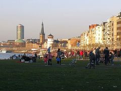 Frühling am Rheinufer in Düsseldorf am 17.2. 2019