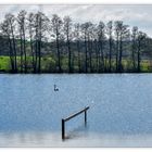 Frühling am Röttsee