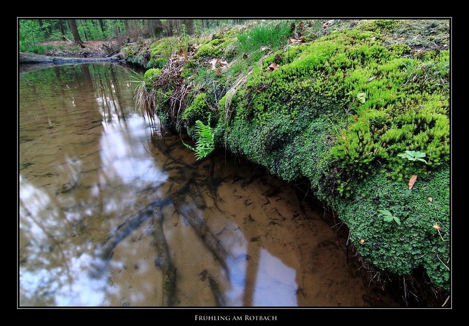 Frühling am Rotbach