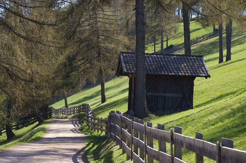 Frühling am Salten (Südtirol)