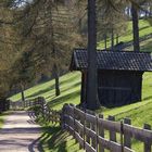 Frühling am Salten (Südtirol)