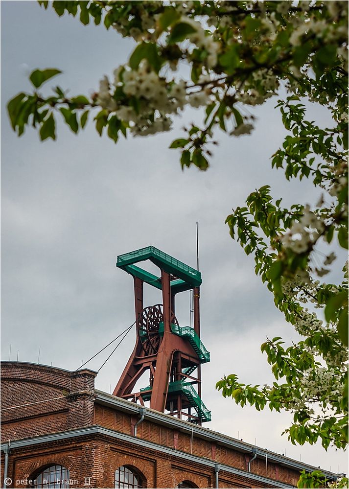 Frühling am Schacht