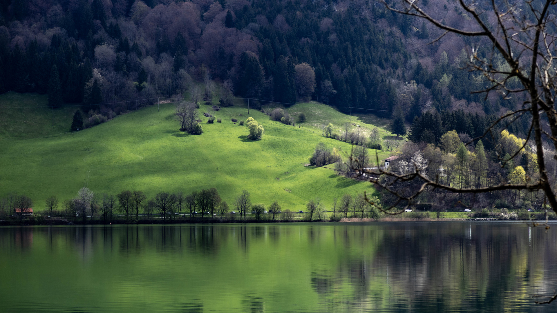 Frühling am Schliersee