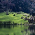 Frühling am Schliersee