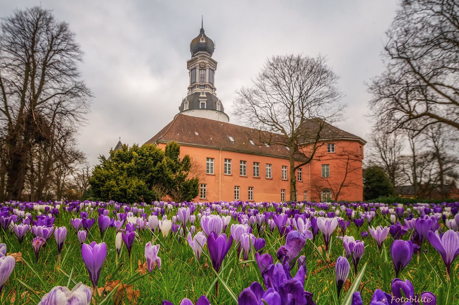 Frühling am Schloss