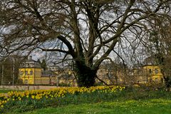 Frühling am Schloß