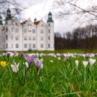 Frühling am Schloss Ahrensburg