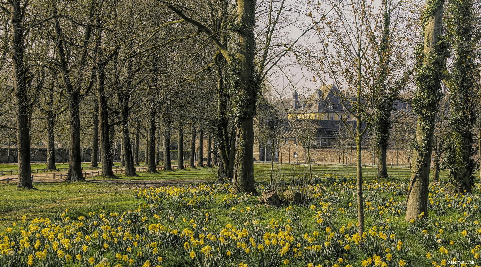 Frühling am Schloss Dyck 