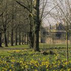 Frühling am Schloss Dyck 
