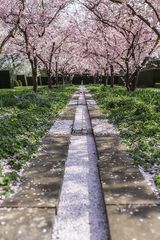 Frühling am Schloss