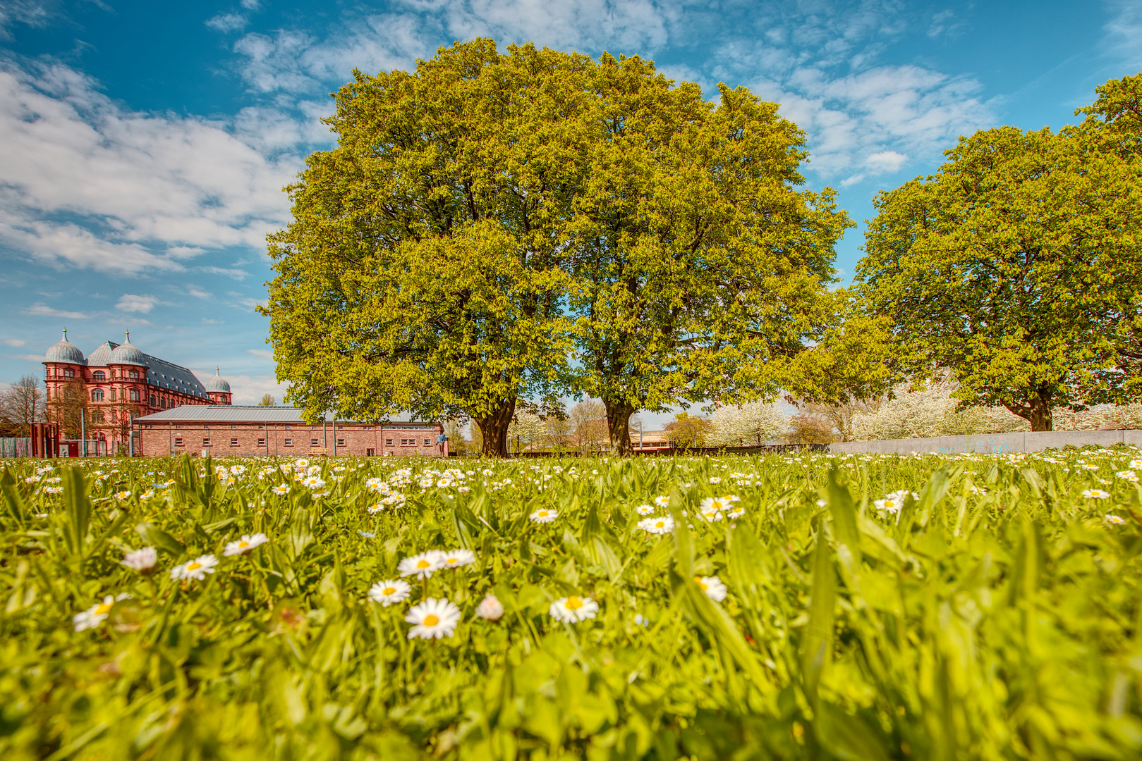 Frühling am Schloss Gottesaue