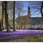 Frühling am Schloss Husum