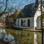 Frühling am Schloss IV