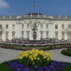 Frühling am Schloß Ludwigsburg