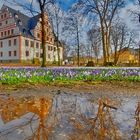 Frühling am Schloss Ponitz 