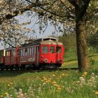 Frühling am Schloss Wartensee