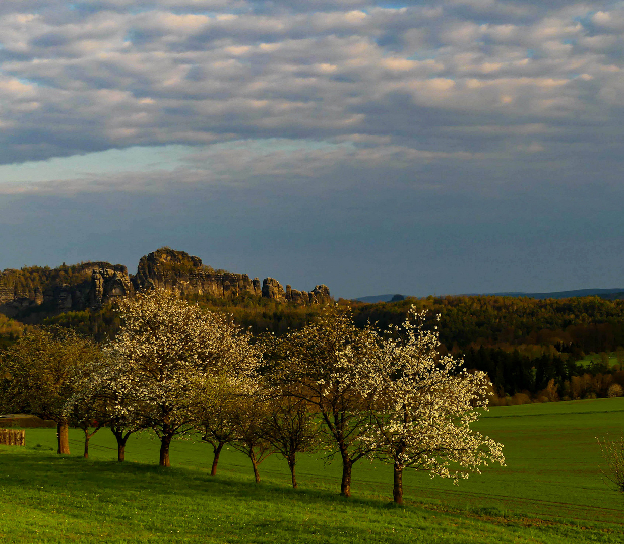 Frühling am Schrammsteinmassiv