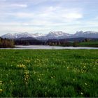 Frühling am Schwaltenweiher