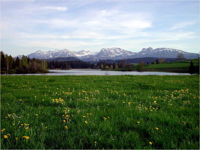 Frühling am Schwaltenweiher