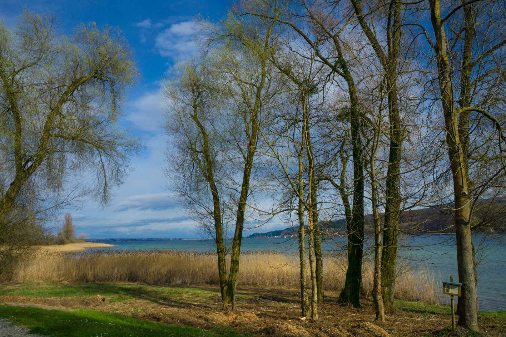 Frühling am See