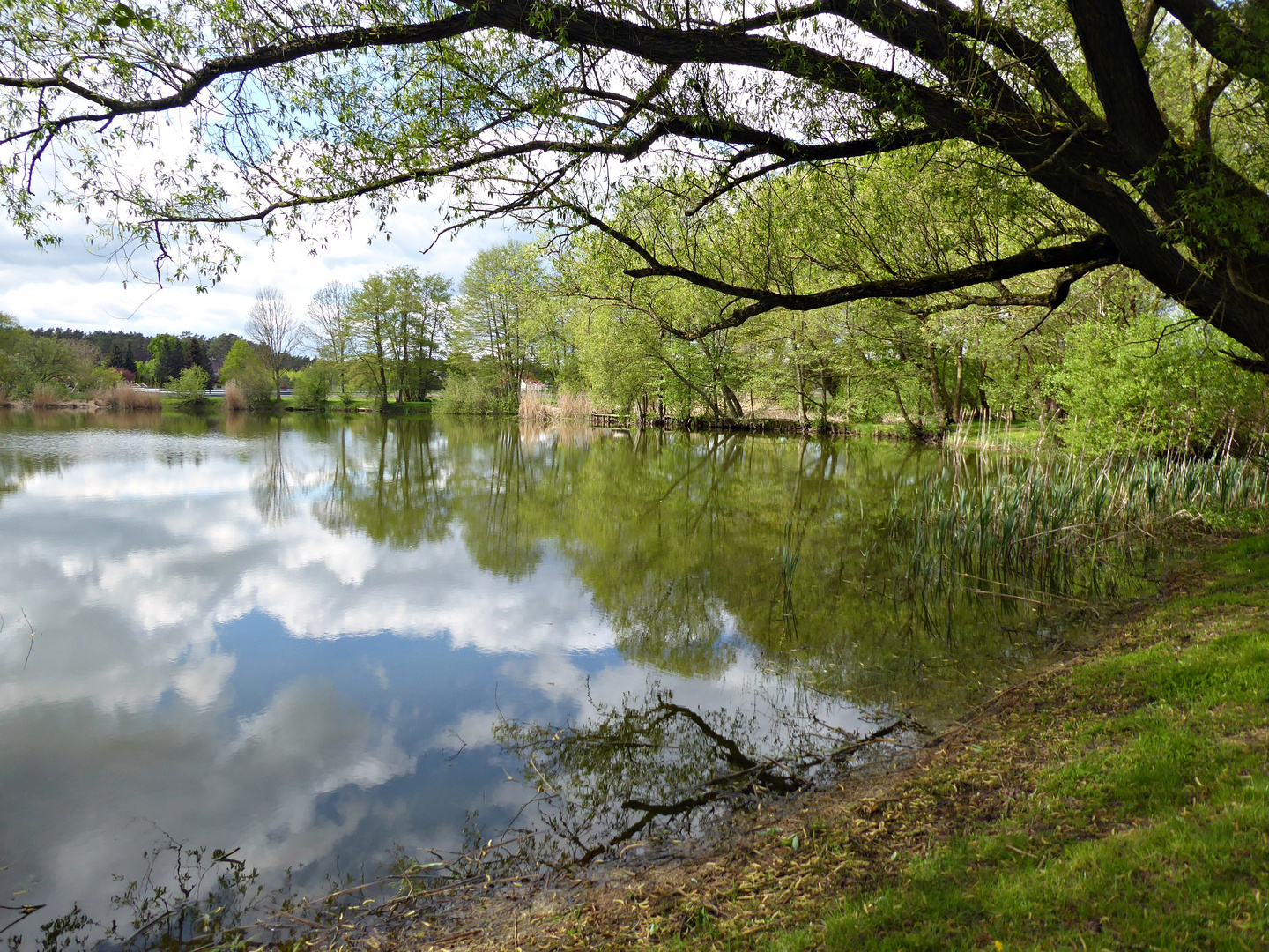 Frühling am See