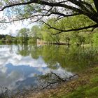 Frühling am See