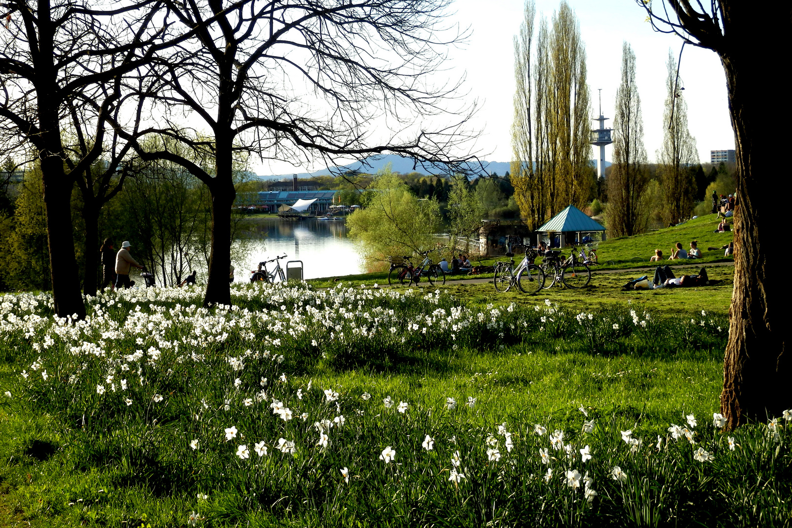 Frühling am See