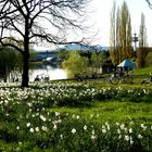 Frühling am See