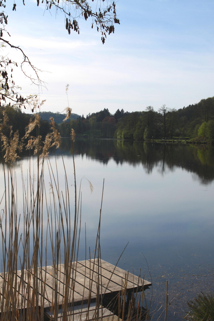 Frühling am See