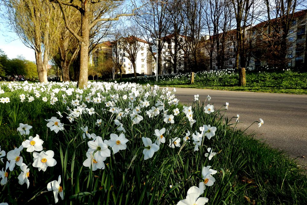 Frühling am See 2