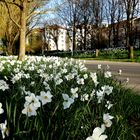 Frühling am See 2