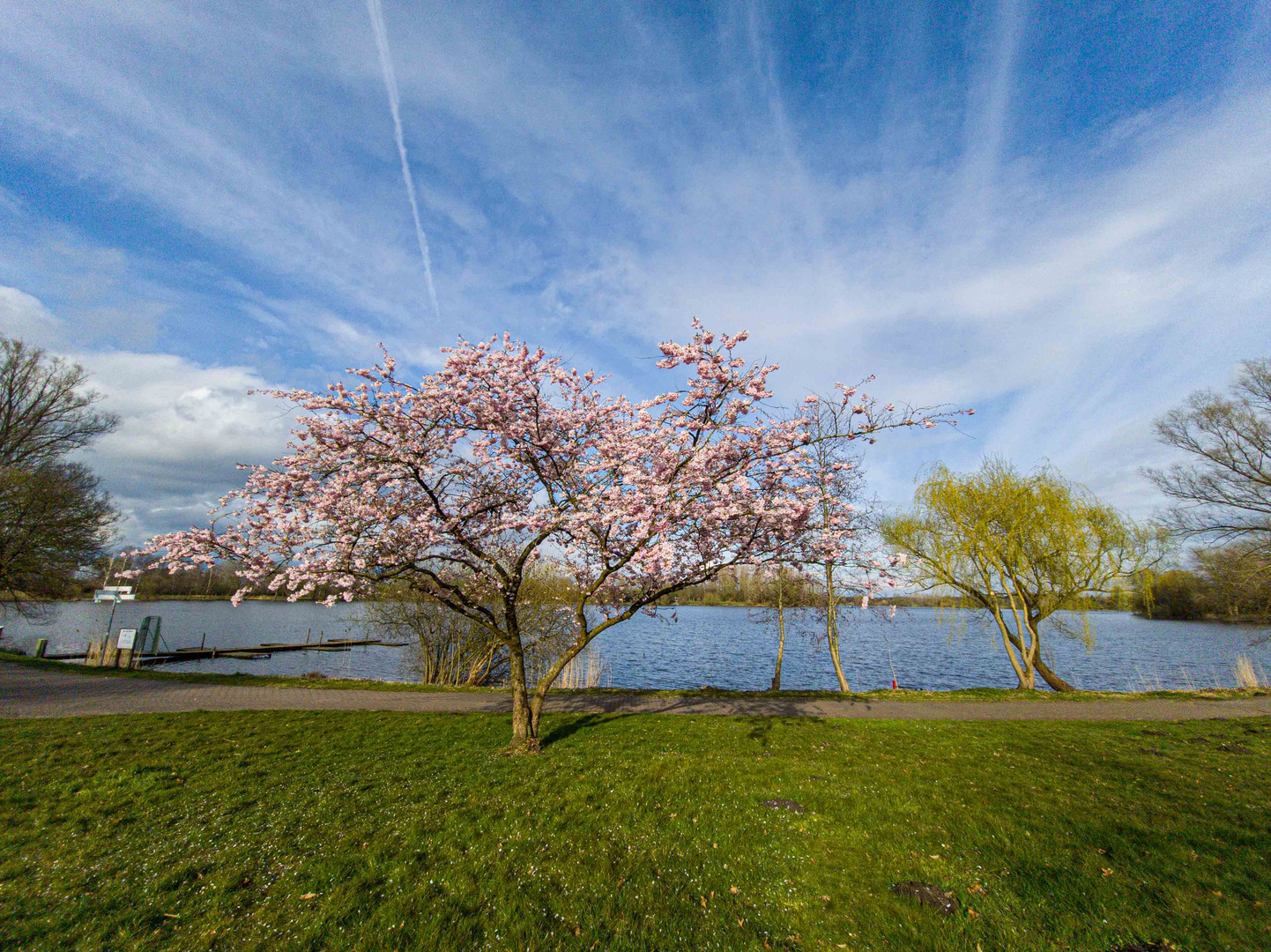 Frühling am See 2022