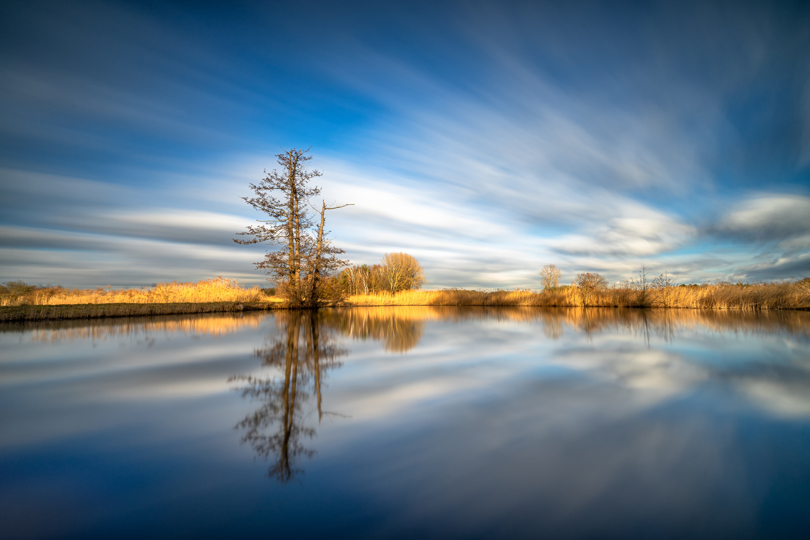 Frühling am See