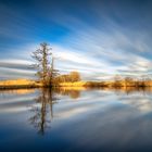 Frühling am See