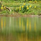 Frühling am See