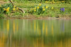 Frühling am See