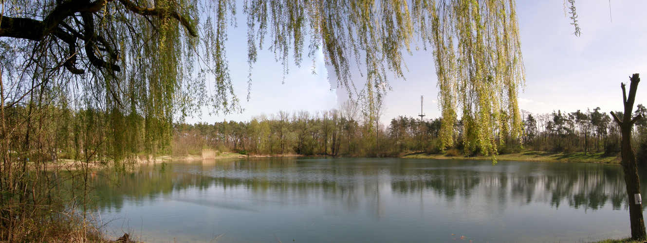 Frühling am See 3