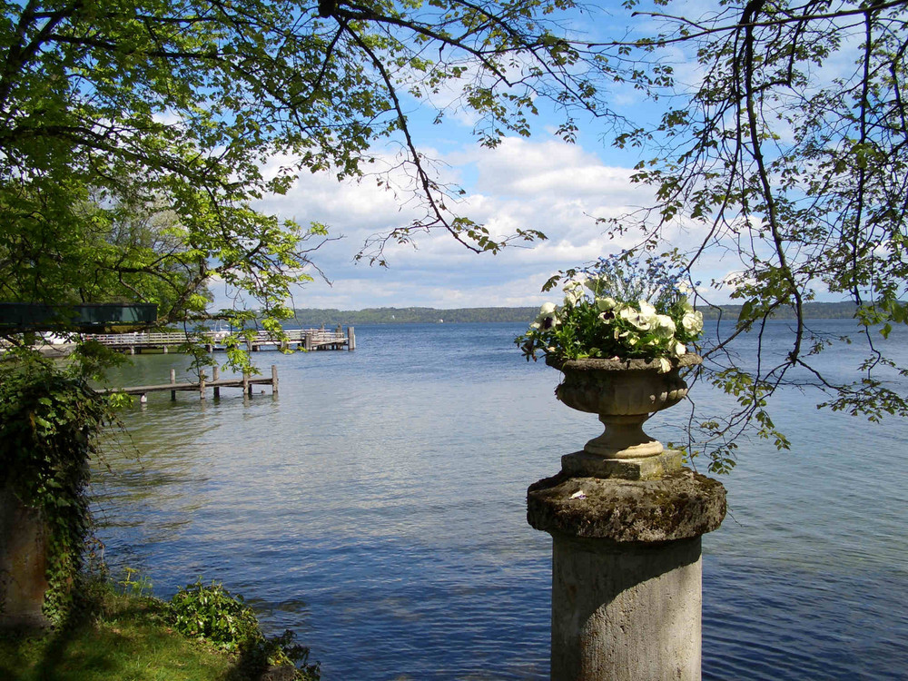 Frühling am see