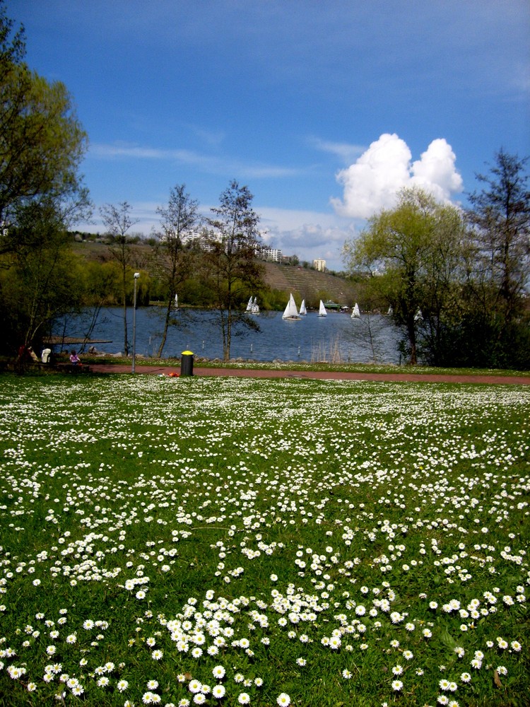 Frühling am See