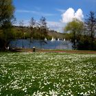 Frühling am See