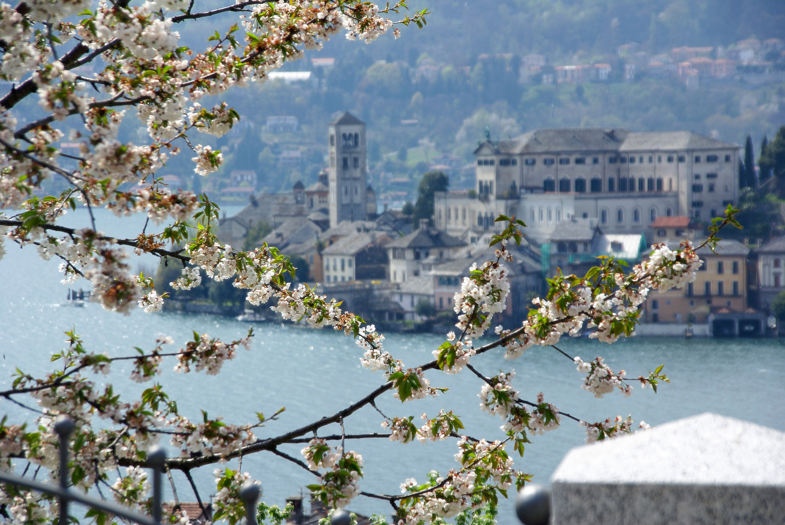 Frühling am See