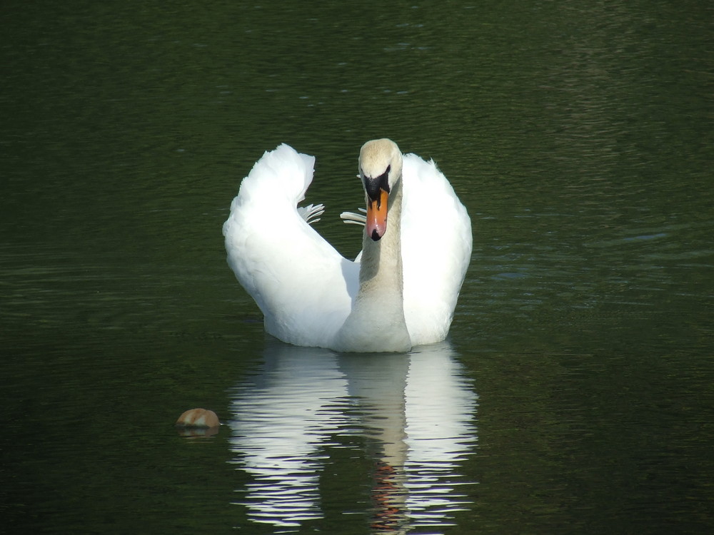 Frühling am See