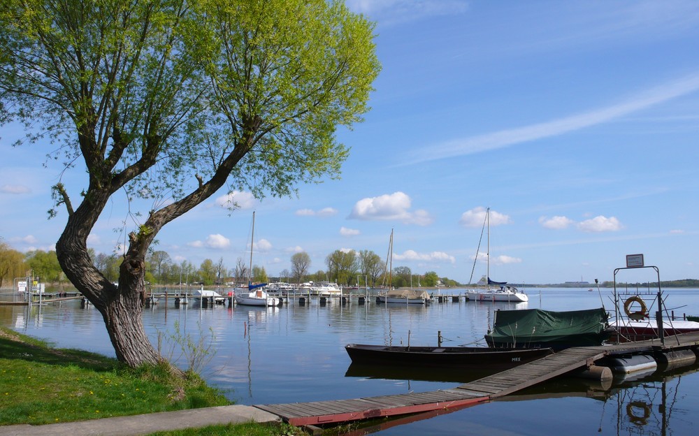 Frühling am See