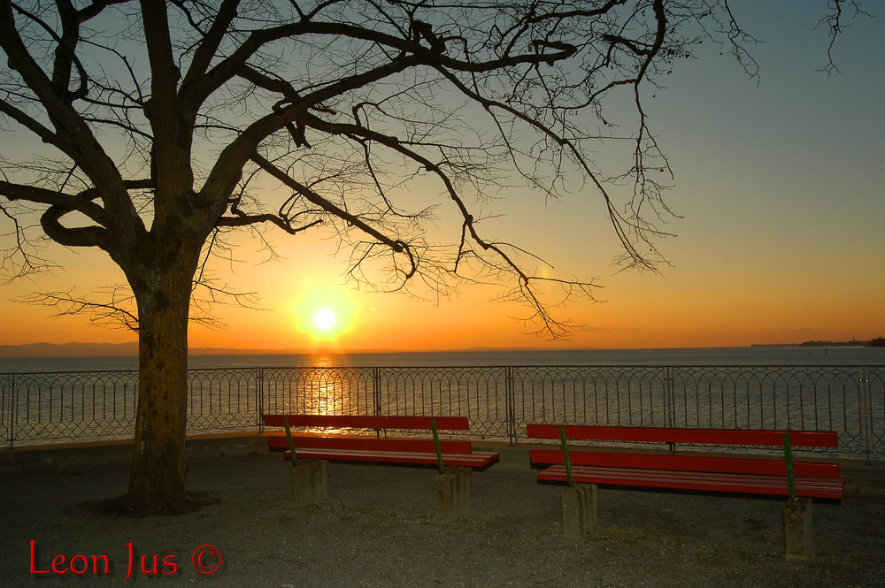 Frühling am See