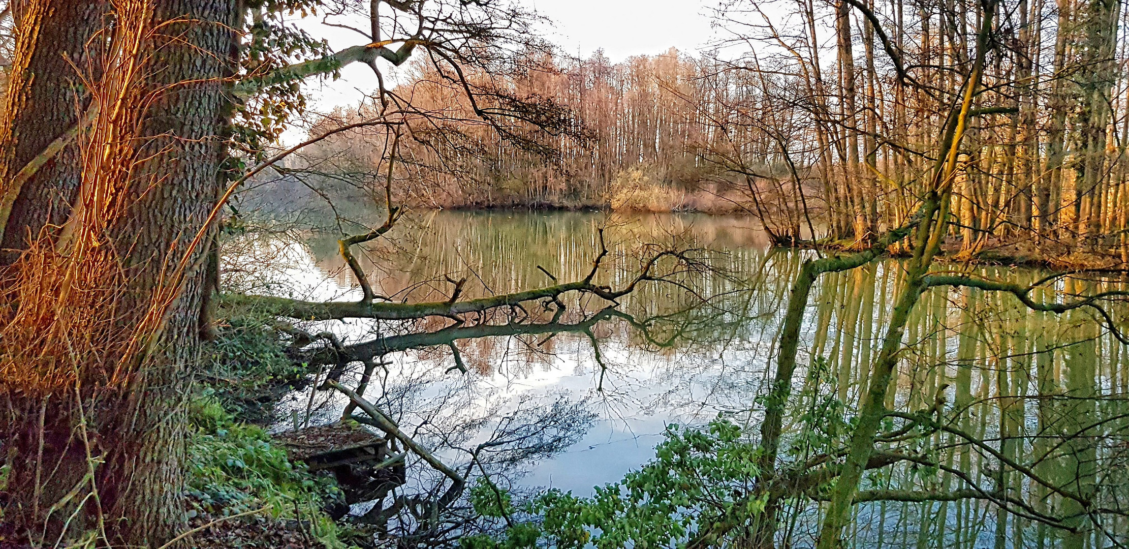 Frühling am See Foto & Bild landschaft, jahreszeiten, frühling Bilder