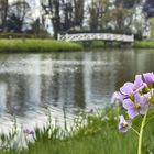 Frühling am See....