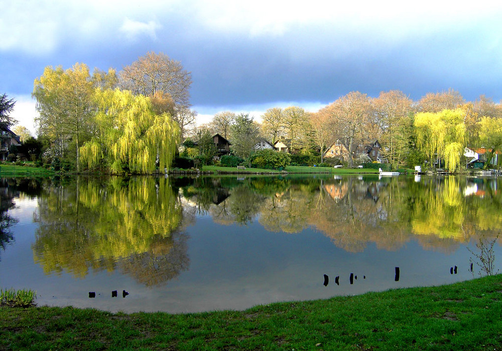 Frühling am See