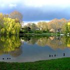 Frühling am See