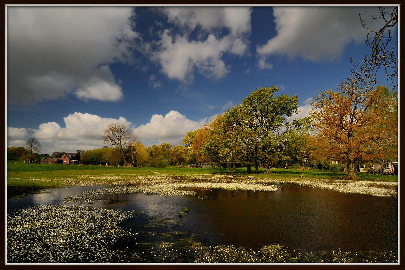 Frühling am See