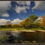 Frühling am See